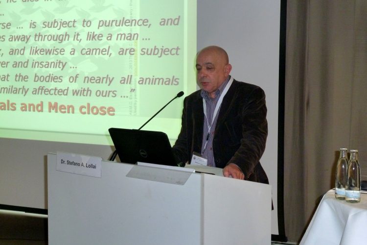 Dr. Stefano A. Lollai