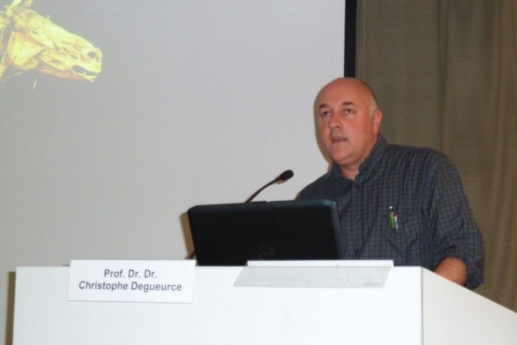 Prof. Dr. Dr. Christophe Degueurce